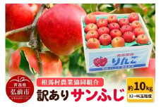 【26年3月発送】りんご【訳あり】サンふじ 約10kg（32～46玉程度）【レビューキャンペーン】
