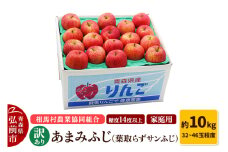 【26年3月発送】りんご 糖度14度以上【訳あり】家庭用 あまみふじ（葉取らずサンふじ）約10kg（32～46玉程度）【レビューキャンペーン】