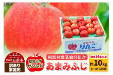 【26年3月発送】りんご 糖度14度以上【訳あり】家庭用 あまみふじ（葉取らずサンふじ）約10kg（32～46玉程度）【レビューキャンペーン】