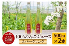 スパークリング100％りんごジュース（2本入り） りんご果汁100％ リンゴ 果汁 林檎 飲料 アップル 果物 フルーツ 青森 飲み物 ドリンク【レビューキャンペーン】