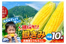 【25年7月～発送】とうもろこし 朝採り 嶽きみ（だけきみ） 10本 L～2Lサイズ 冷蔵 青森県 弘前市【レビューキャンペーン】