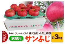 【25年12月発送】りんご【家庭用】サンふじ 約3kg【レビューキャンペーン】