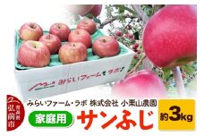 【25年12月発送】りんご【家庭用】サンふじ 約3kg【レビューキャンペーン】