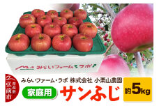 【25年12月発送】りんご【家庭用】サンふじ 約5kg【レビューキャンペーン】