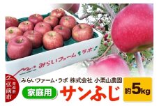 【25年12月発送】りんご【家庭用】サンふじ 約5kg【レビューキャンペーン】