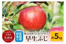 【25年10月発送】りんご【訳あり】家庭用 早生ふじ 約5kg【レビューキャンペーン】