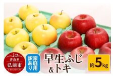 【25年10月発送】りんご【訳あり】家庭用 早生ふじ＆トキ 約5kg【レビューキャンペーン】