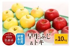 【25年10月発送】りんご【訳あり】家庭用 早生ふじ＆トキ 約10kg【レビューキャンペーン】