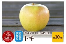 【25年10月～発送】りんご【訳あり】家庭用 トキ 約10kg【レビューキャンペーン】