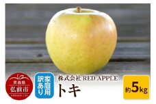 【25年10月～発送】りんご【訳あり】家庭用 トキ 約5kg【レビューキャンペーン】