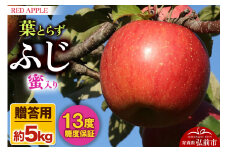 【25年12月発送】りんご 蜜入り 13度糖度保証【贈答用】葉とらずふじ 約5kg【レビューキャンペーン】