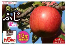 【25年12月発送】りんご 蜜入り 13度糖度保証【訳あり】家庭用 葉とらずふじ 約5kg【レビューキャンペーン】