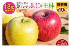 【25年12月発送】りんご 13度糖度保証【贈答用】蜜入り 葉とらずふじ＆王林 約10kg【レビューキャンペーン】