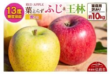 【25年12月発送】りんご 13度糖度保証【訳あり】家庭用 蜜入り 葉とらずふじ＆王林 約10kg【レビューキャンペーン】