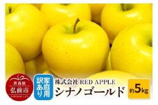 【25年11月発送】りんご【訳あり】家庭用 シナノゴールド 約5kg【レビューキャンペーン】