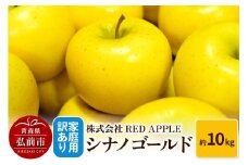 【25年11月発送】りんご【訳あり】家庭用 シナノゴールド 約10kg【レビューキャンペーン】