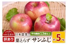 【25年11月～発送】りんご 平均糖度13度以上！ 葉とらずサンふじ 約5kg 訳あり【先行受付】 青森 果物 フルーツ 林檎 リンゴ くだもの 不揃い 規格外 予約【レビューキャンペーン】