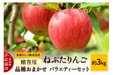 【25年9月～発送】りんご ねぷたりんご バラエティーセット 贈答用 約3kg 【品種おまかせ】【レビューキャンペーン】