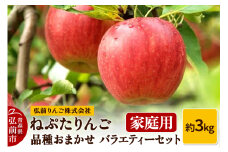 【25年9月～発送】りんご ねぷたりんご バラエティーセット 家庭用 約3kg 【品種おまかせ】【レビューキャンペーン】