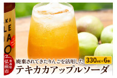 廃棄されてきたりんごを活用した テキカカアップルソーダ 330ml×6本 青森 弘前 林檎 リンゴ【レビューキャンペーン】
