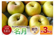 【25年11月～発送】りんご 名月 約3kg 贈答用 ちとせ村【レビューキャンペーン】