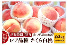 【25年9月発送】もも【2025年産 レア品種 さくら白桃】特秀 約3kg 8～14玉程度 ASIAGAP認証農場 津軽農園 採れたて 農家直送【レビューキャンペーン】