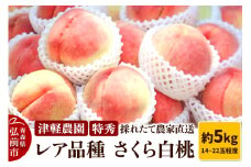 【25年9月発送】もも【2025年産 レア品種 さくら白桃】特秀 約5kg 14～22玉程度 ASIAGAP認証農場 津軽農園 採れたて 農家直送【レビューキャンペーン】