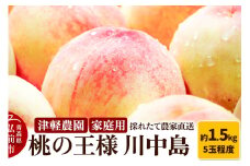 【25年8月発送】もも【2025年産 桃の王様 川中島】家庭用 約1.5kg 5玉程度 ASIAGAP認証農場 津軽農園 採れたて 農家直送【レビューキャンペーン】