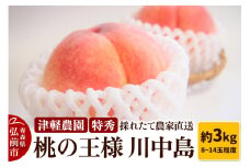 【25年8月発送】もも【2025年産 桃の王様 川中島】特秀 約3kg 8～14玉程度 ASIAGAP認証農場 津軽農園 採れたて 農家直送【レビューキャンペーン】
