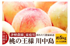 【25年8月発送】もも【2025年産 桃の王様 川中島】家庭用 約5kg 14～22玉程度 ASIAGAP認証農場 津軽農園 採れたて 農家直送【レビューキャンペーン】