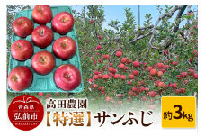 【25年11月～発送】りんご【特選】サンふじ 約3kg  弘前市産 青森りんご【レビューキャンペーン】