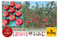【25年11月～発送】りんご【訳あり】サンふじ 約3kg  弘前市産 青森りんご【レビューキャンペーン】