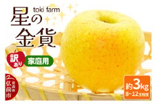 【25年10月～発送】りんご 星の金貨 約3kg（8～12玉程度）【訳あり】家庭用 toki farm【レビューキャンペーン】