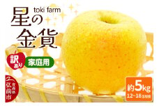 【25年10月～発送】りんご 星の金貨 約5kg（12～18玉程度）【訳あり】家庭用 toki farm【レビューキャンペーン】
