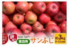 【25年10月～発送】りんご サンふじ 約3kg（8～12玉程度）【訳あり】家庭用 toki farm【レビューキャンペーン】