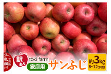 【25年10月～発送】りんご サンふじ 約3kg（8～12玉程度）【訳あり】家庭用 toki farm【レビューキャンペーン】