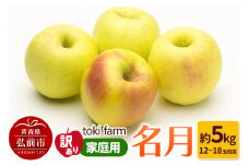 【25年10月クール便発送】りんご 名月 約5kg（12～18玉程度）【訳あり】家庭用 toki farm【レビューキャンペーン】