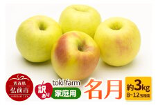 【25年10月クール便発送】りんご 名月 約3kg（8～12玉程度）【訳あり】家庭用 toki farm【レビューキャンペーン】