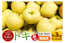 【25年9月クール便発送】りんご トキ 約3kg（8～12玉程度）【訳あり】家庭用 toki farm【レビューキャンペーン】