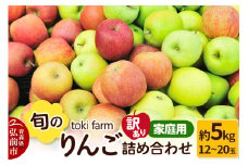 【25年11月発送】りんご 旬のりんご詰め合わせ 約5kg（12～20玉程度）【訳あり】家庭用 toki farm【レビューキャンペーン】