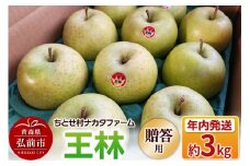 【25年11月～発送】りんご 王林 約3kg 贈答用 ちとせ村【レビューキャンペーン】