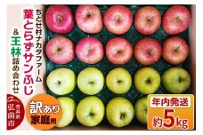 【25年11月～発送】りんご 葉とらずサンふじ ＆ 王林 詰め合わせ 約5kg 家庭用 訳あり ちとせ村【レビューキャンペーン】