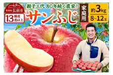 【25年12月発送】りんご 【糖度13度以上】サンふじ【家庭用】約3kg 8～12玉程度 ASIAGAP認証農場 津軽農園【レビューキャンペーン】