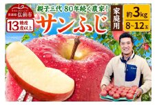【25年12月発送】りんご 【糖度13度以上】サンふじ【家庭用】約3kg 8～12玉程度 ASIAGAP認証農場 津軽農園【レビューキャンペーン】