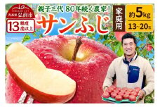 【25年12月発送】りんご 【糖度13度以上】サンふじ【家庭用】約5kg  13～20玉程度 ASIAGAP認証農場 津軽農園【レビューキャンペーン】
