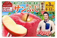 【25年12月発送】りんご 【糖度13度以上】サンふじ【特選品】約3kg 8～12玉程度 ASIAGAP認証農場 津軽農園【レビューキャンペーン】