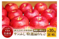 【25年12月発送】りんご 【糖度13度以上】サンふじ【特選品】約10kg 26～40玉程度 ASIAGAP認証農場 津軽農園【レビューキャンペーン】