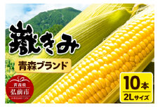 【25年8月～発送】とうもろこし 青森県弘前市産 嶽きみ（だけきみ）2Lサイズ 10本 【岩木山麓嶽高原産 とうもろこし】【レビューキャンペーン】