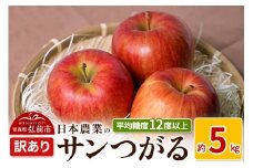 【25年9月～発送】りんご 平均糖度12度以上！ サンつがる 約5kg 訳あり クール便【先行受付】 青森 果物 フルーツ 林檎 リンゴ くだもの 不揃い 規格外 予約【レビューキャンペーン】