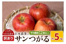 【25年9月～発送】りんご 平均糖度12度以上！ サンつがる 約5kg 訳あり クール便【先行受付】 青森 果物 フルーツ 林檎 リンゴ くだもの 不揃い 規格外 予約【レビューキャンペーン】